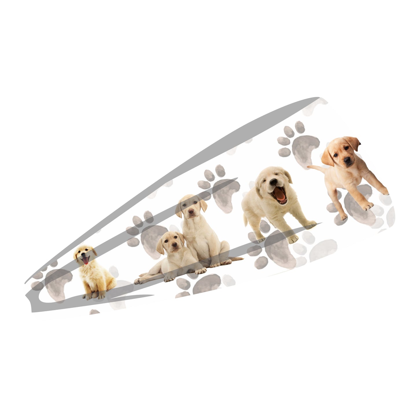 Balaca deportiva Perritos para el control del sudor en todos los deportes (4515362308141)